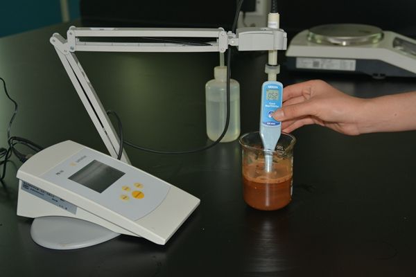 灌溉水和土壤的盐分含量对作物生长的影响