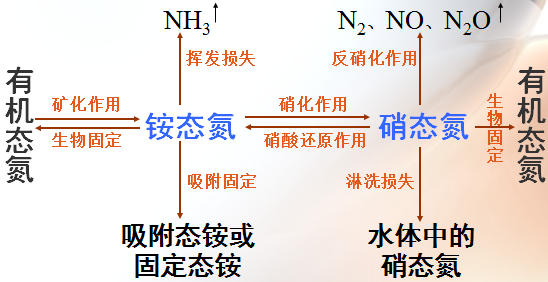 鍥剧墖2.png