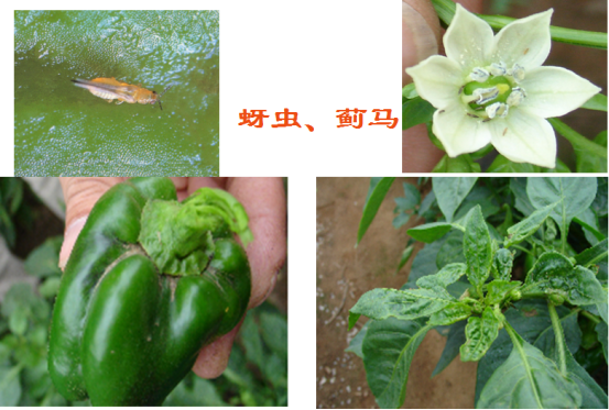 鍥剧墖8.png