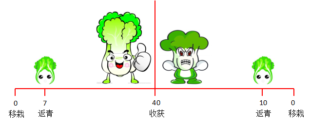 1-1-1.png