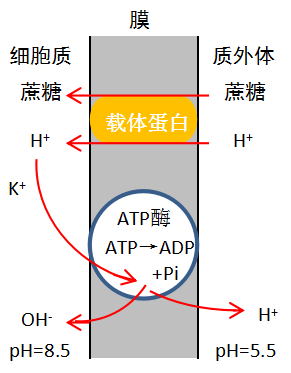 4.png