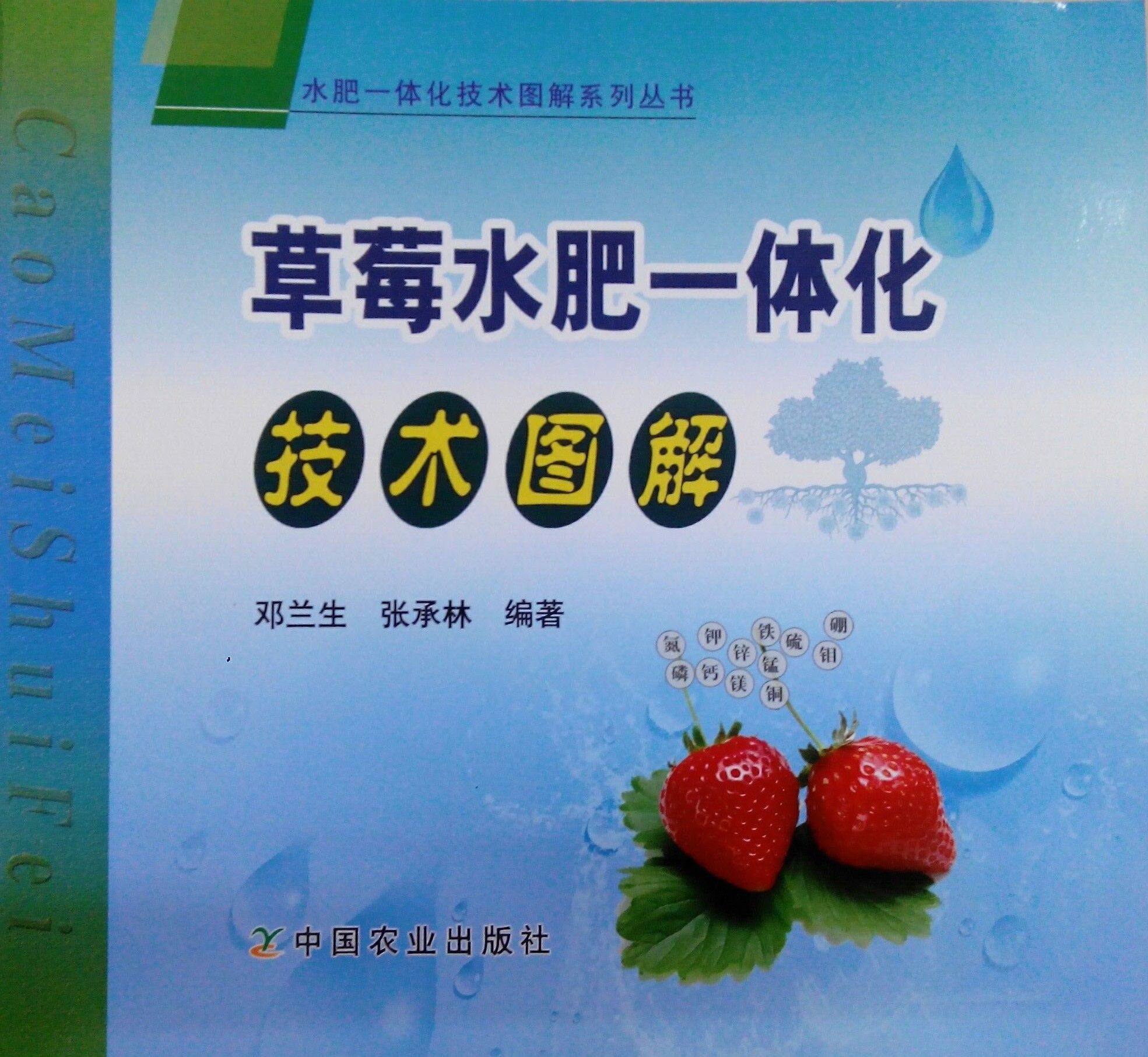 《草莓水肥一体化技术图解》书籍推荐